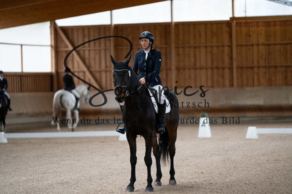 A7V02124 | Pferdefotograf