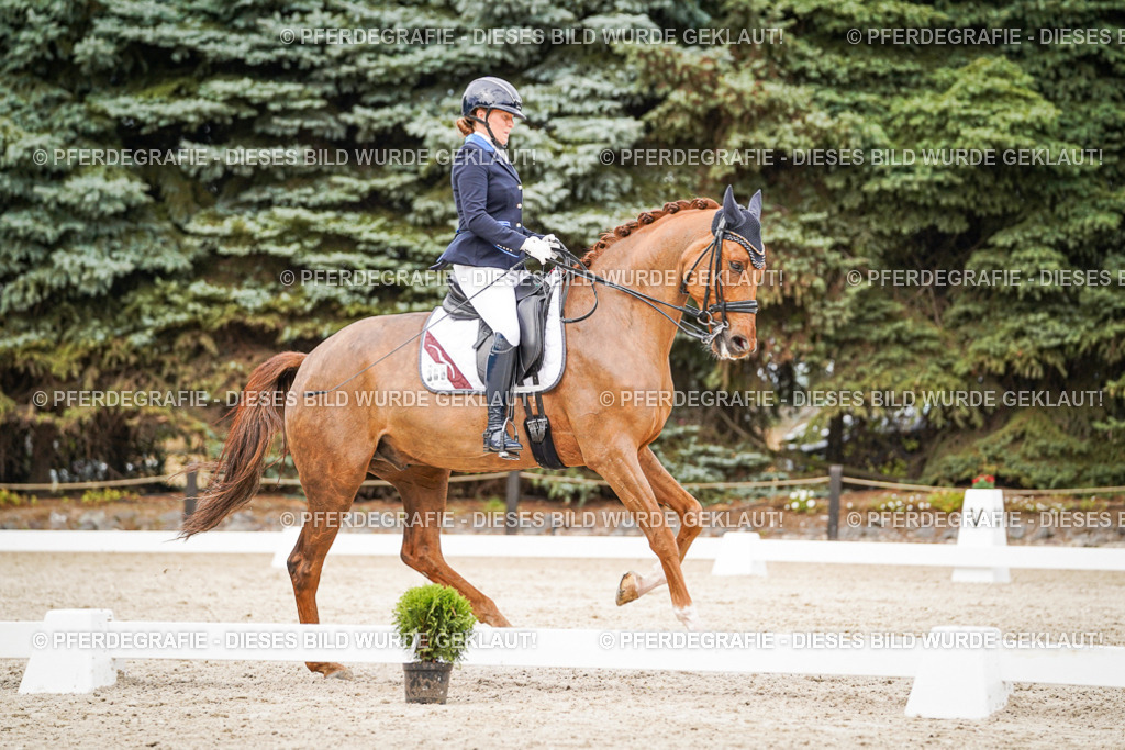 DSC07413 | Pferdegrafie