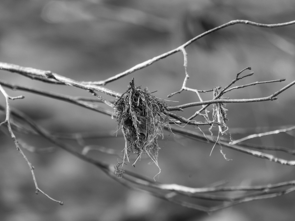 PSX_20230220_232101 | mtkfoto_ - Realisiert mit Pictrs.com