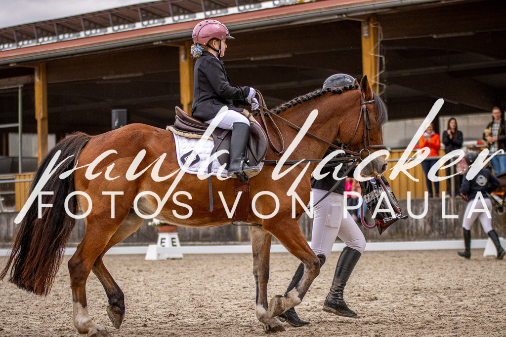 IMG_4003 | Erleben Sie dynamische Sport- und emotionale Tierfotografie in Süddeutschland mit Fotos von Paula. Spezialisiert auf Pferde- und Hundefotografie sowie Sportevents. Kontaktieren Sie mich für einzigartige und ausdrucksstarke Bilder Ihrer besonderen Momente.