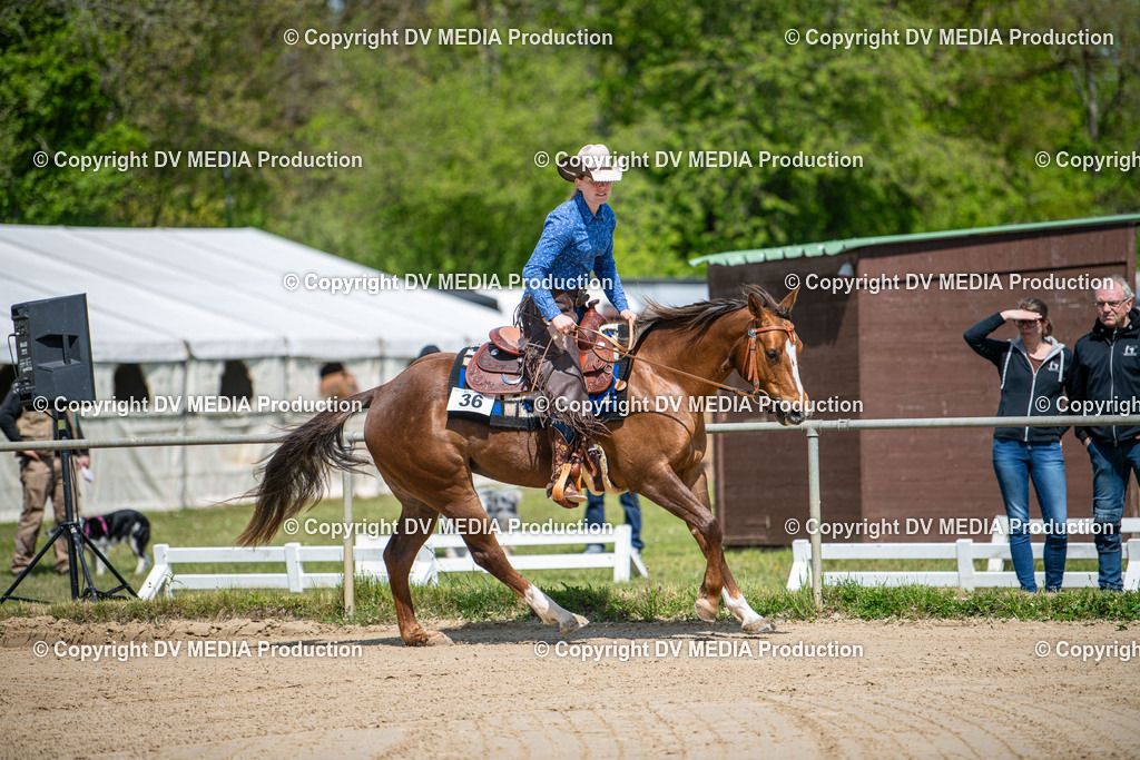 Heiligenwald Tag 3-1375 | dv-media-shop - Realisiert mit Pictrs.com