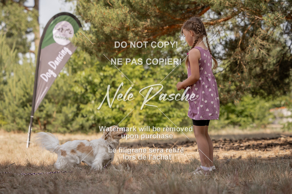 nelerasche_soDD2_286 | nelerasche