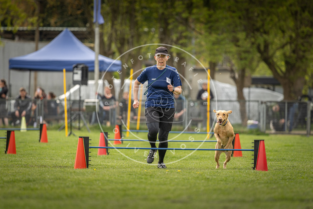Pfotenfotografie_DV3A6310 | Hundefotografie, Tierfotograf, Pfotenfotografie, Fotoshooting Hund, Hunde Portrait, Hundesport, Hundeportraits, Heideshooting, Hunde, Sportfotograf, Hundefotograf, Turnierhundsport, THS,  - Realisiert mit Pictrs.com