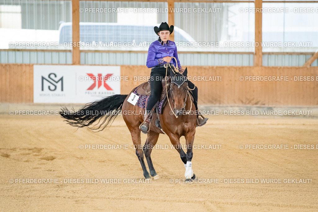 DSC07607 | Pferdegrafie