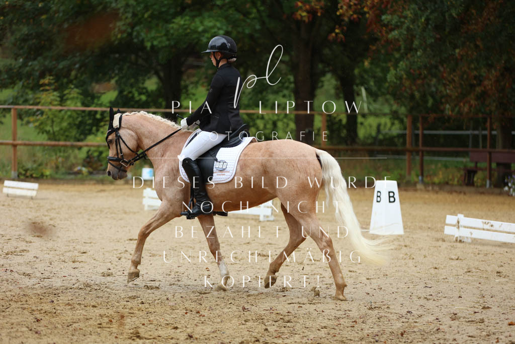 IMGM9202 | pl-fotografie