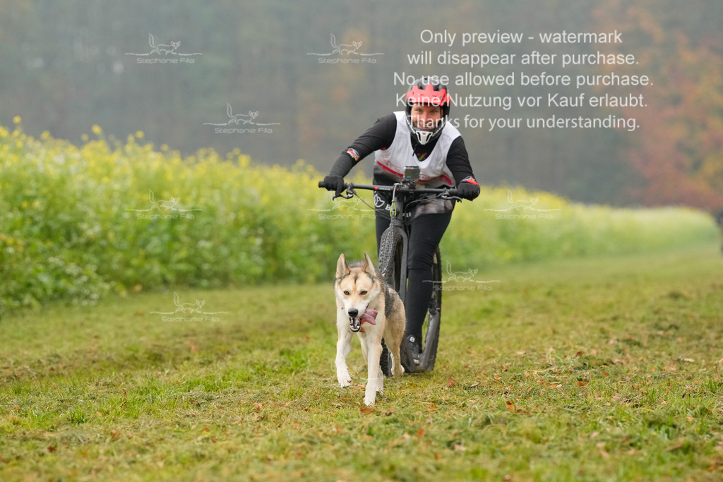 Visbeck_Sa_Scooter_Hc-72 | stephaniefillaphotographie - Realisiert mit Pictrs.com