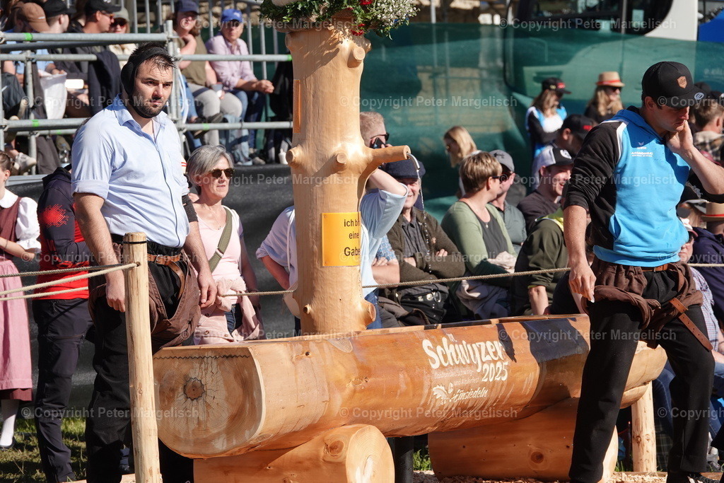 DSC00873 | Schwingen - Realisiert mit Pictrs.com