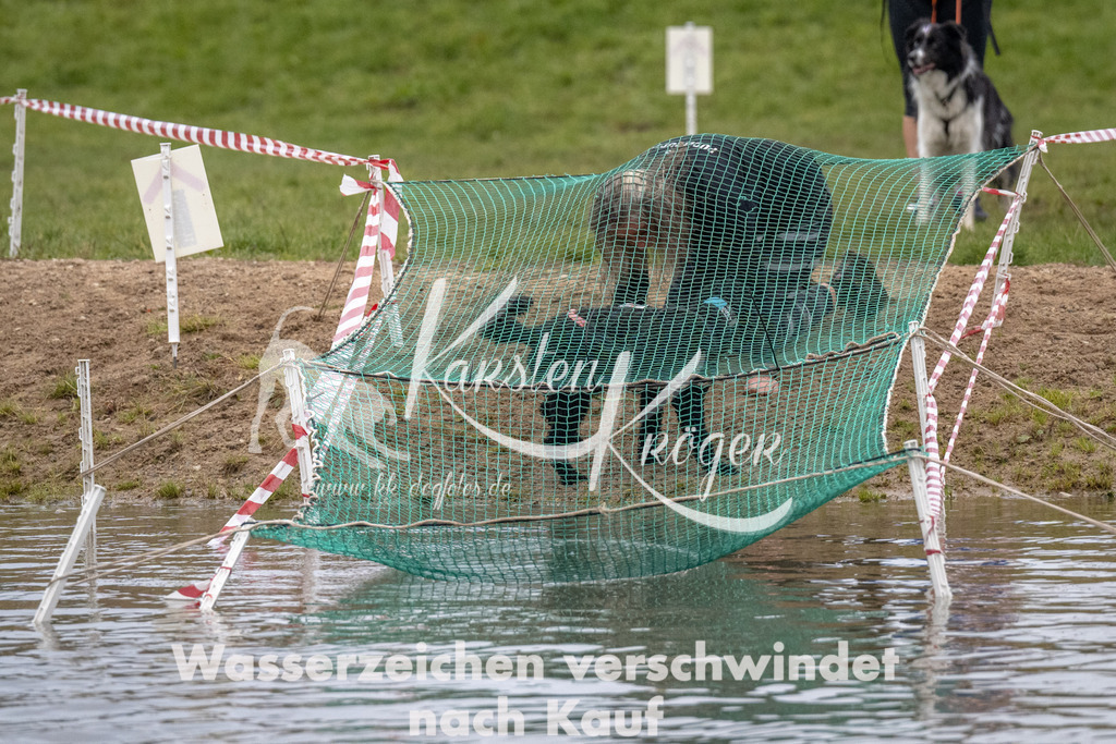 0831_ZZ91712 | kk-dogfotos