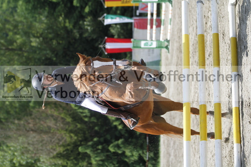 _MG_5434 | equestrian-live-com