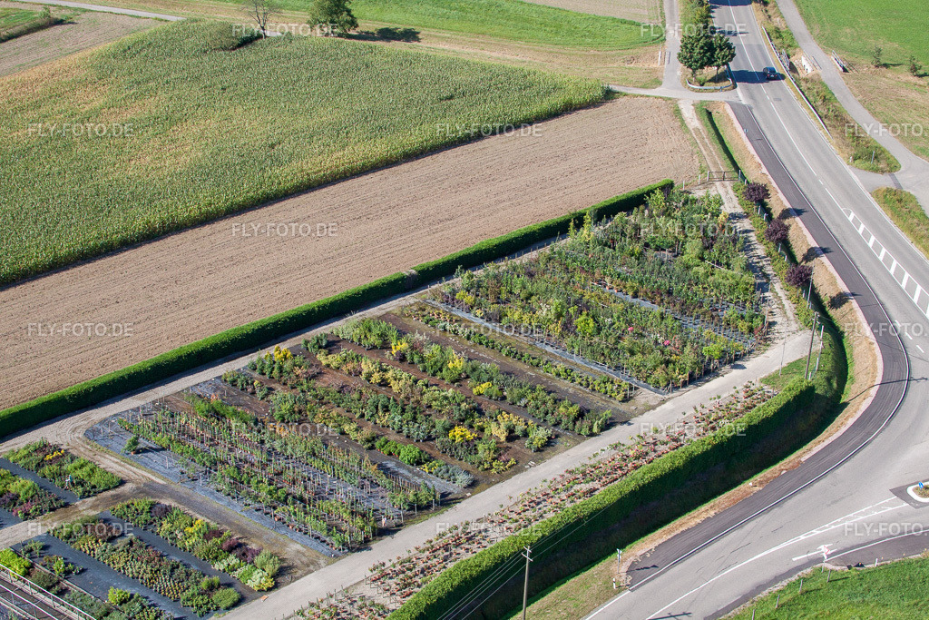 Gartenzeiten  Schwarz https://gartenzeiten-schwarz.de/ | Luftbild: Gartenzeiten  Schwarz https://gartenzeiten-schwarz.de/ im Ortsteil Bodersweier in Kehl im Bundesland Baden-Württemberg in Deutschland. Foto: IMG_20648.jpg vom 31.08.2009 durch Werner Riehm/FLY-FOTO.de - Realisiert mit Pictrs.com