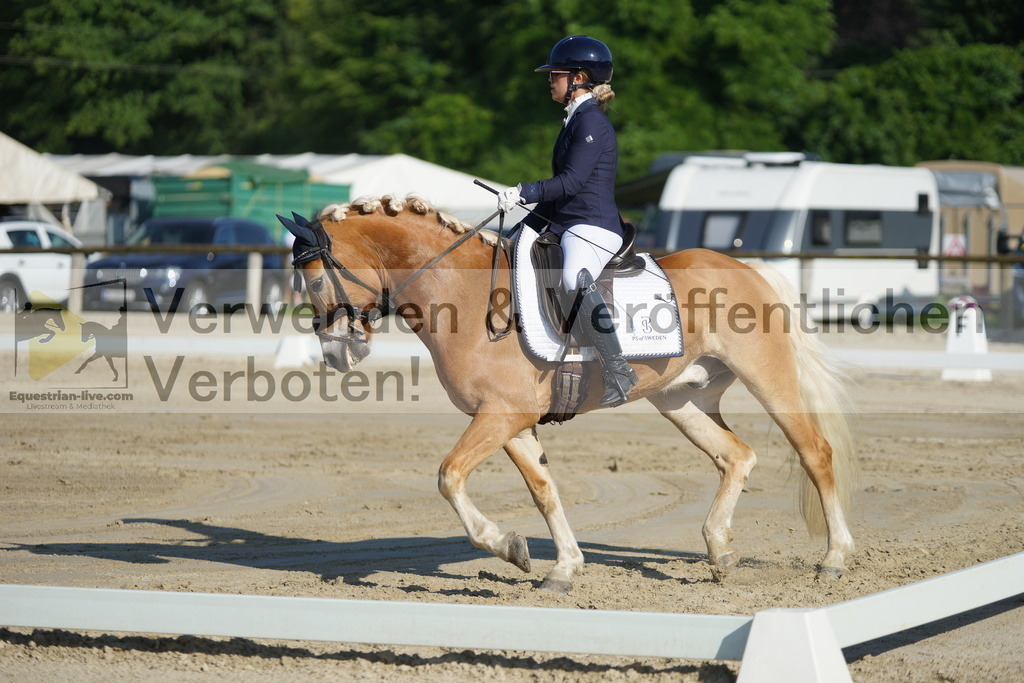 DSC04103 | equestrian-live-com