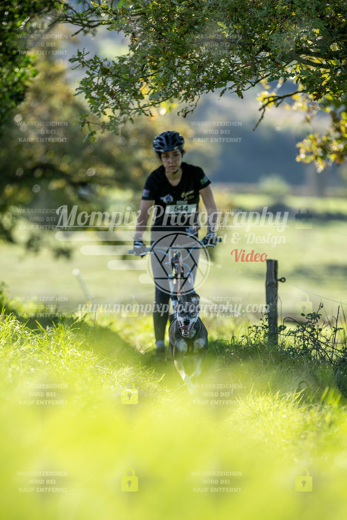 MompixPhotography_20TSB_E3_DS1-52 | PayLife