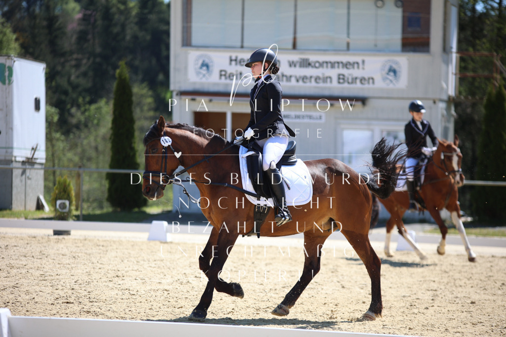 IMGT0790 | pl-fotografie