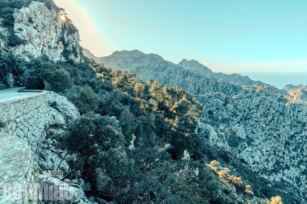 PS-Mallorca-2026-13 | Entdecke die größte Bildgalerie der Region mit Fotografien aus dem Allgäu, der Bodenseeregion, Oberschwaben, dem Donautal und der Schwäbischen Alb. Landschaften, Luftaufnahmen und Reisefotografie als Wandbild und Fotokunst. - Realisiert mit Pictrs.com
