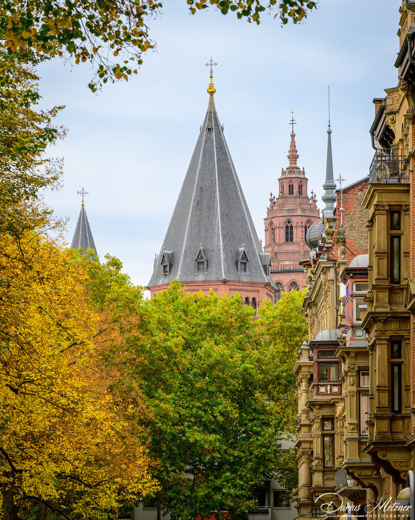 DSC_4682 | Fotografien, Fotos und Bilder aus Mainz, Frankfurt, Wiesbaden und anderen Orten auf der Welt - Fotografiert von Darius Metzner