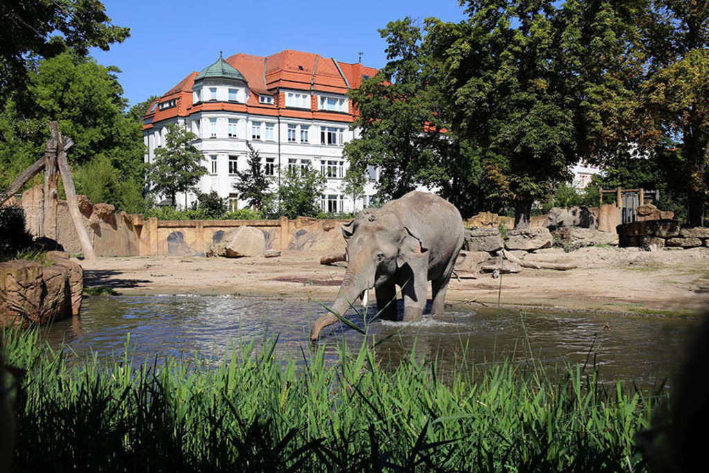 Foto: Leipzig - Zoo | Das Team hinter BILDLEXIKON LEIPZIG bündelt historische wie aktuelle Informationen über die Stadt Leipzig in Text und Bild auf einer Plattform und stellt diese der interessierten Öffentlichkeit zur Verfügung.