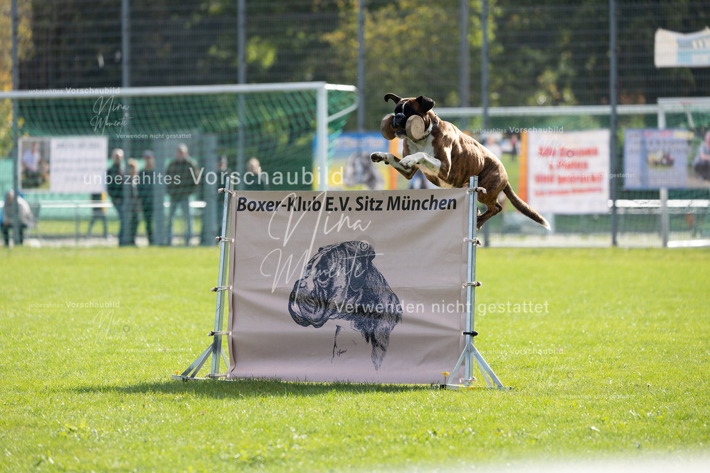 _16A5311 | Einzigartige Fotos von Hunden & Menschen –Actionfotos, Portraits, Vereinsaufnahmen & Paarshootings – authentisch, lebendig & mit Herz.