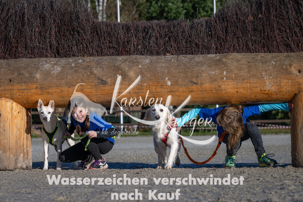 1021-_ZZ90937 | kk-dogfotos