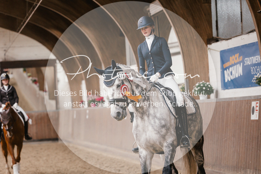 3I6A7014 | Stimmungsvolle Portraits und Reitsportfotografie im Ruhrgebiet und im Münsterland.

Pferdefotografie, Hundefotografie, Tierfotografie, Reportagen, Portraits von Tier und Mensch, Turnierfotografie in Bochum, Recklinghausen, Marl, Haltern am See, Dülmen.. - Realisiert mit Pictrs.com