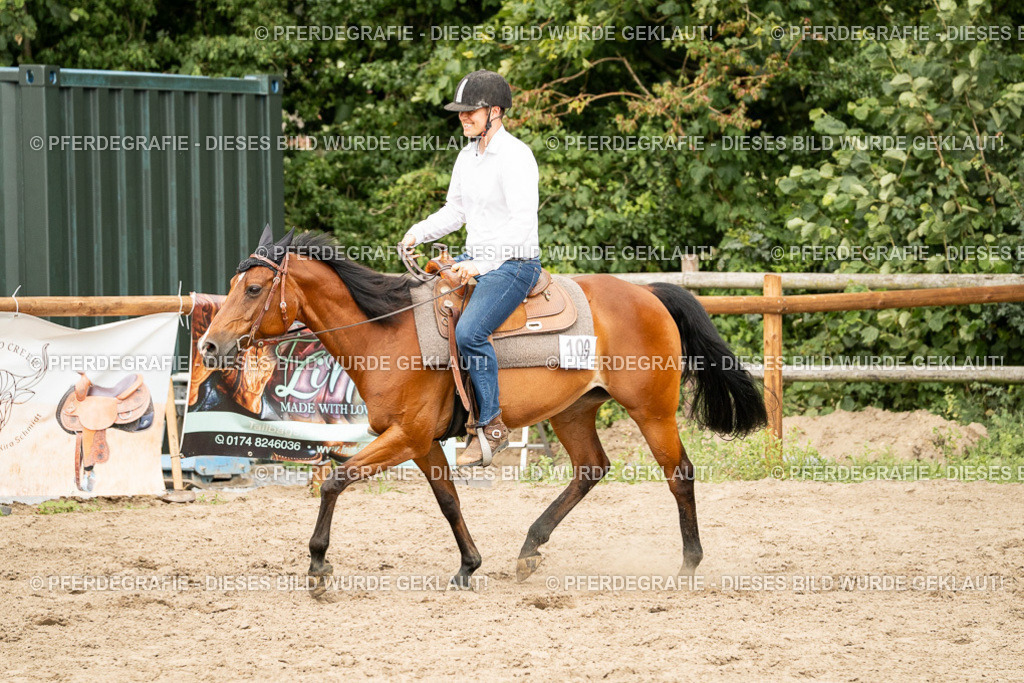 DSC00785 | Pferdegrafie