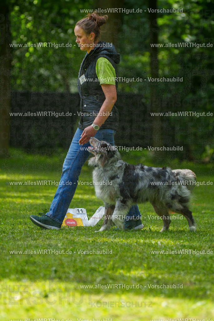 @allesWIRTHgut_Tierfotografie - www.allesWIRTHgut.de - 7R504820 | Professionelle Tierfotografie in Mönchengladbach von Daniel Wirth (allesWIRTHgut). Liebevolle & natürliche Bilder von Hunden & Katzen für unvergessliche Erinnerungen.