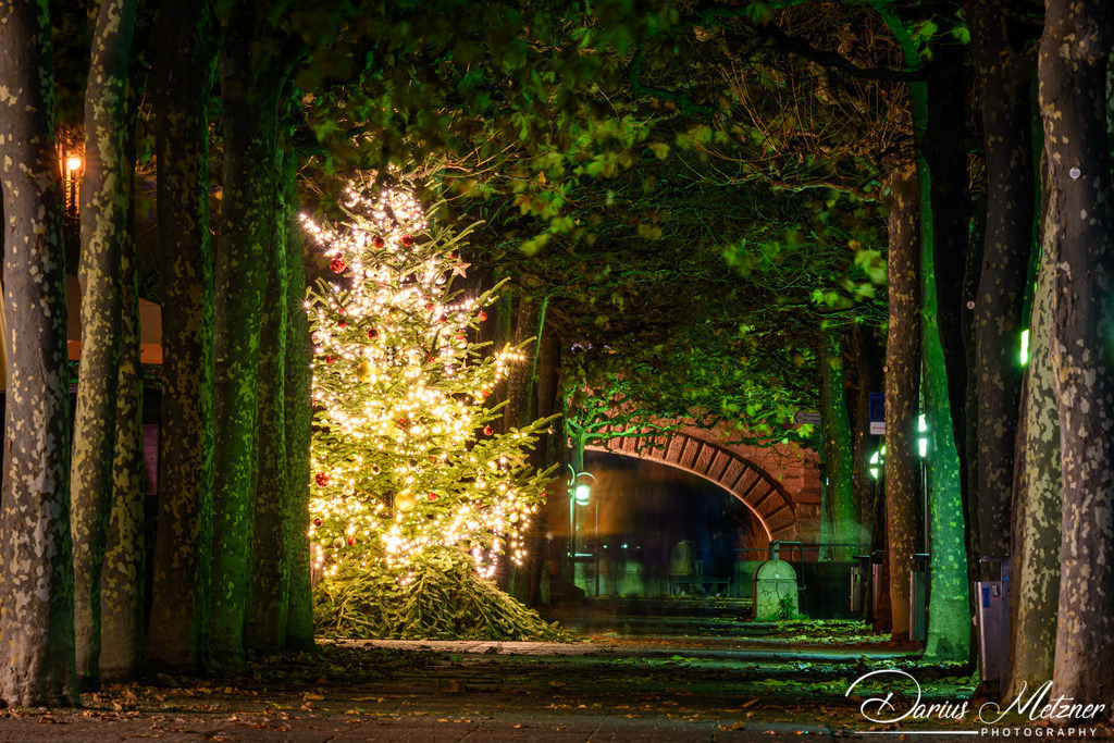 Weihnachten in Mainz | Weihnachten in Mainz