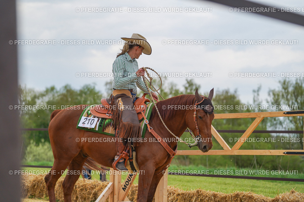 DSC06875 | Pferdegrafie