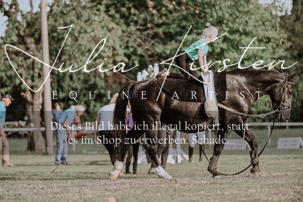 DSC_9865 | Pferde- und Turnierfotografie in Westsachsen. Pferdeportraits, Auftragszeichnungen und intuitive Kunst.