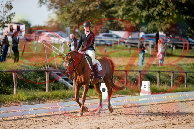 2026_10_03_Siefer-Hof_114217_Z63_23744630 | Professionelle Reitsport-, Turnier- und Eventfotografie von Robert Broda. Galerien mit ausgewählten und bearbeiteten Bildern direkt online ansehen und bestellen.