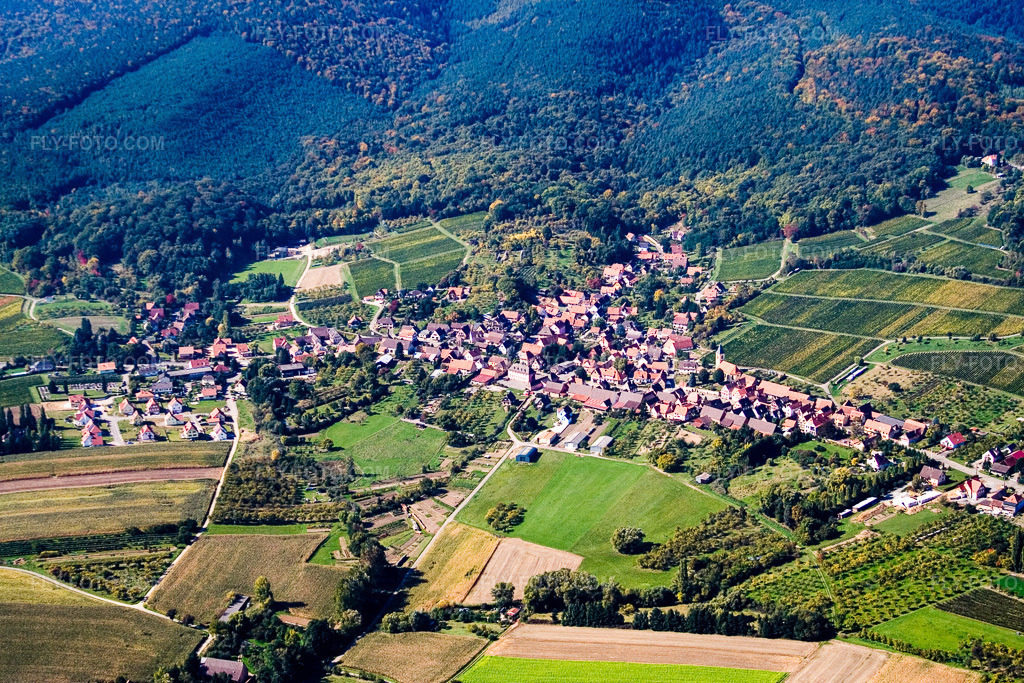 Aerial view: View of the town in Rott in the state Bas-Rhin, France.Photo: IMG_13608.jpg taken on 09/28/2008 by Werner Riehm/FLY-FOTO.comResolution of the original: 3456 x 2304 px