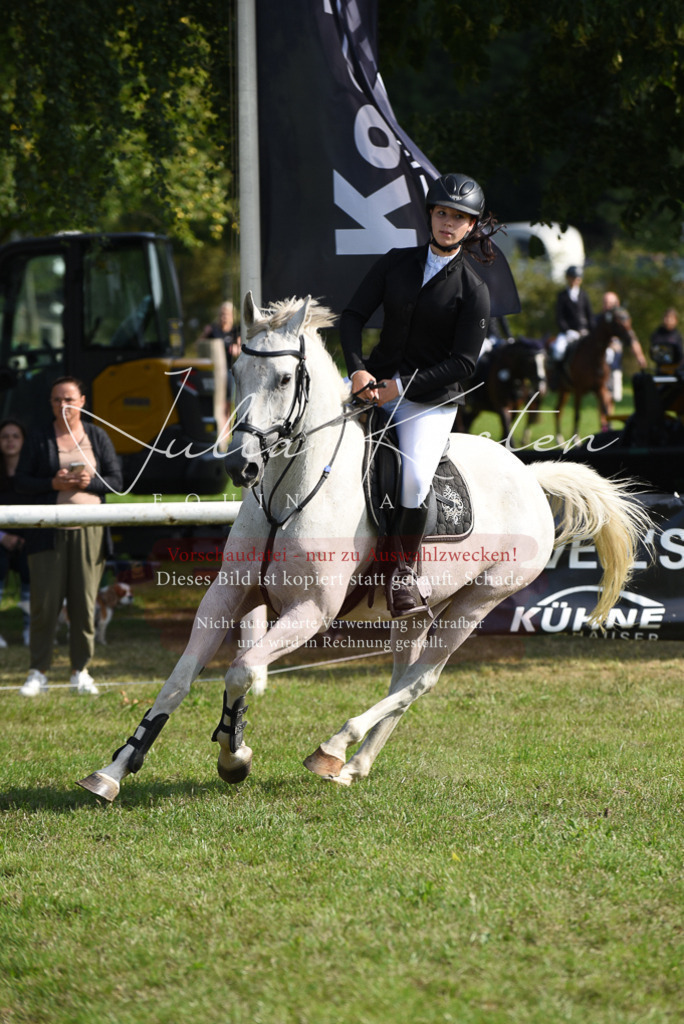 DSC_8905 | Pferde- und Turnierfotografie in Westsachsen. Pferdeportraits, Auftragszeichnungen und intuitive Kunst.