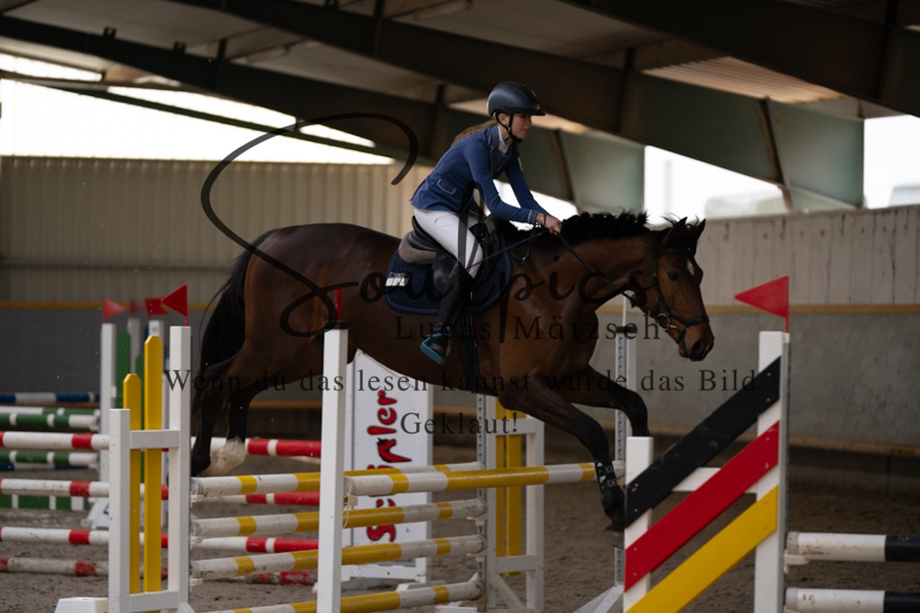 A7V08098 | Pferdefotograf