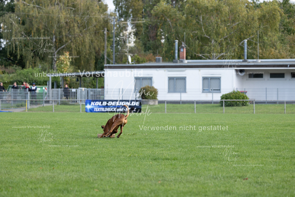_16A6755 | Einzigartige Fotos von Hunden & Menschen –Actionfotos, Portraits, Vereinsaufnahmen & Paarshootings – authentisch, lebendig & mit Herz.
