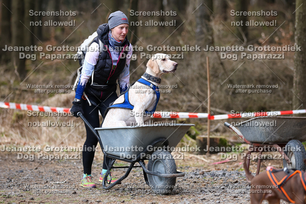 Dog Paparazzi - VCC26-698 | Dog Paparazzi Jeanette Grottendiek Fotografie & Videografie - Realisiert mit Pictrs.com