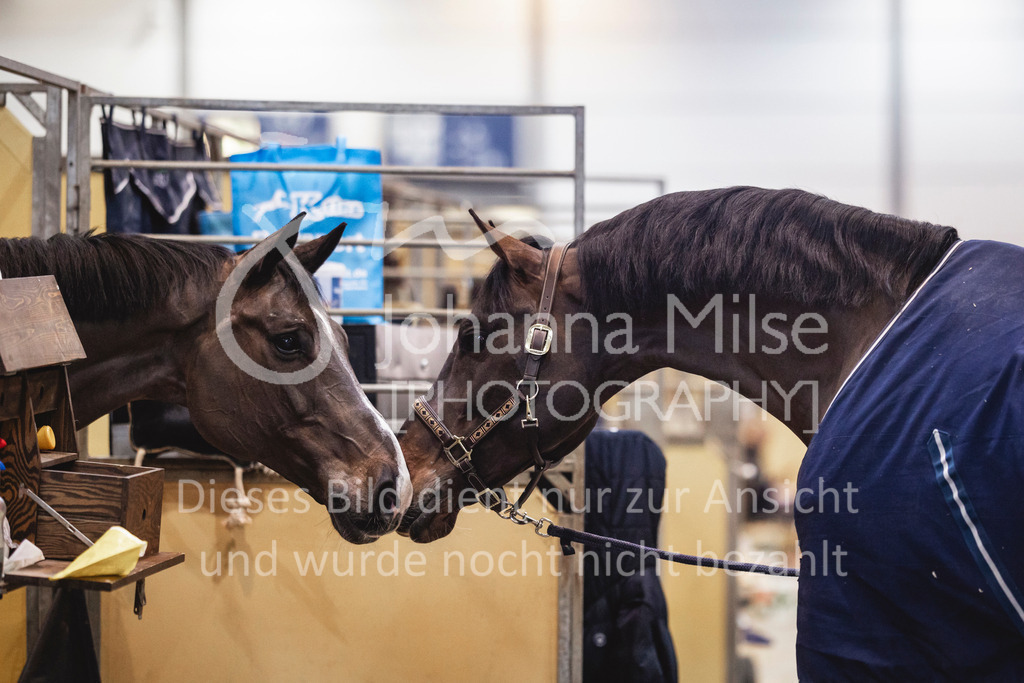 240119_Leipzig_Impressionen-503 | Deine schönsten Turniermomente als professionelle Fotos! Entdecke hochwertige Pferdesport-Fotografie im Online-Shop. Jetzt Fotos finden & bestellen!