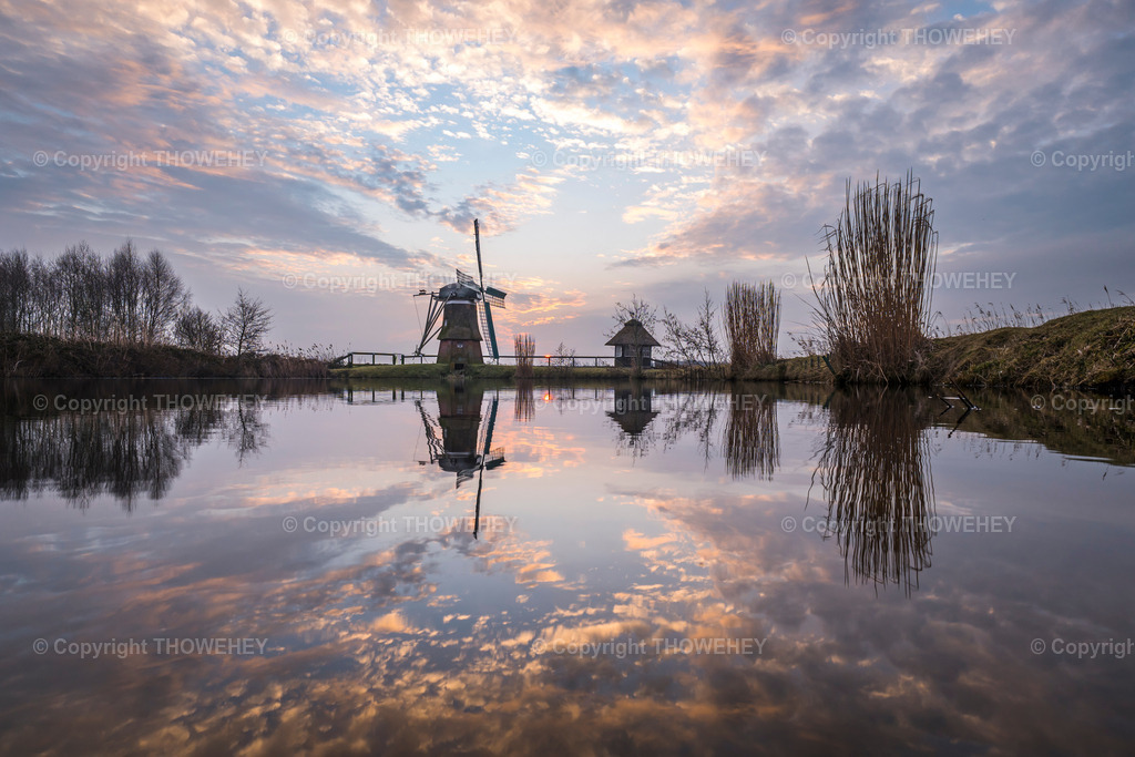 _1029021 | thowehey - Realisiert mit Pictrs.com