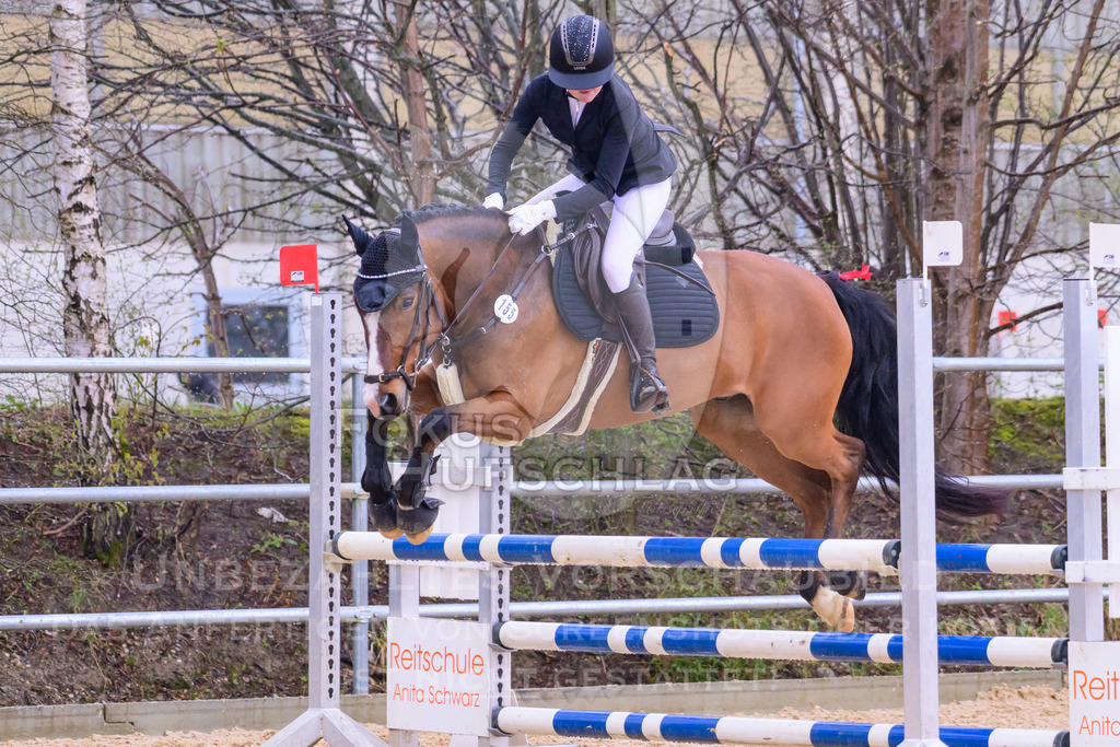 10042026-Mammendorf-Prfg14-0481 | Fokus Hufschlag Fotografie - Realisiert mit Pictrs.com