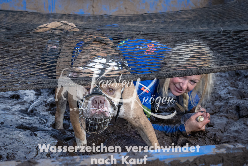 1613_ZZ92014 | kk-dogfotos