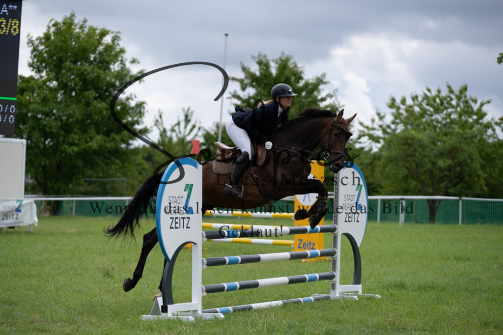 A7V03954 | Pferdefotograf