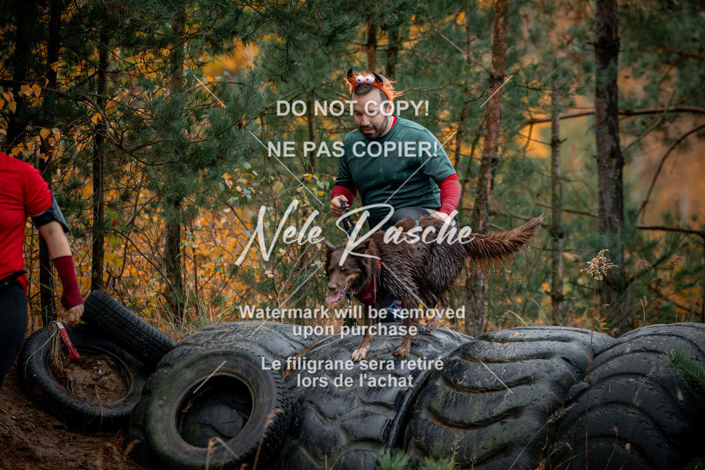 nelerasche_Creepy2025_So0900-1000_112 | nelerasche
