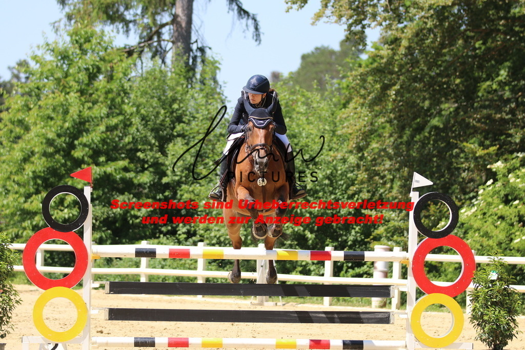 IMG_2505 | lmwpictures - Realisiert mit Pictrs.com