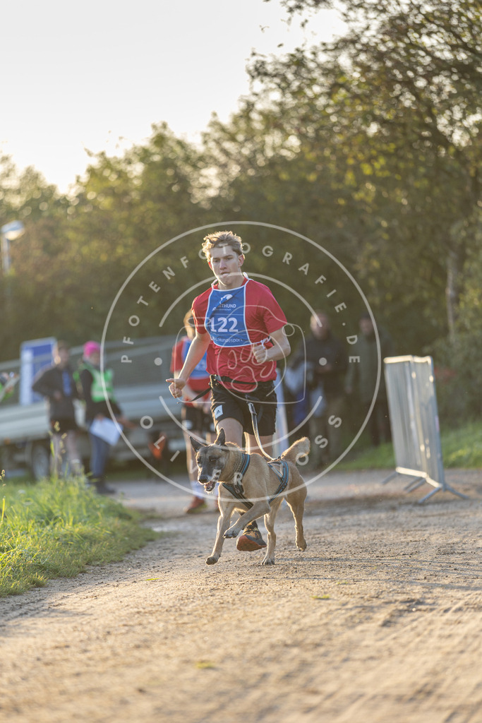 Pfotenfotografie.de_DV3A2389 | Hundefotografie, Tierfotograf, Pfotenfotografie, Fotoshooting Hund, Hunde Portrait, Hundesport, Hundeportraits, Heideshooting, Hunde, Sportfotograf, Hundefotograf, Turnierhundsport, THS, canicross - Realisiert mit Pictrs.com