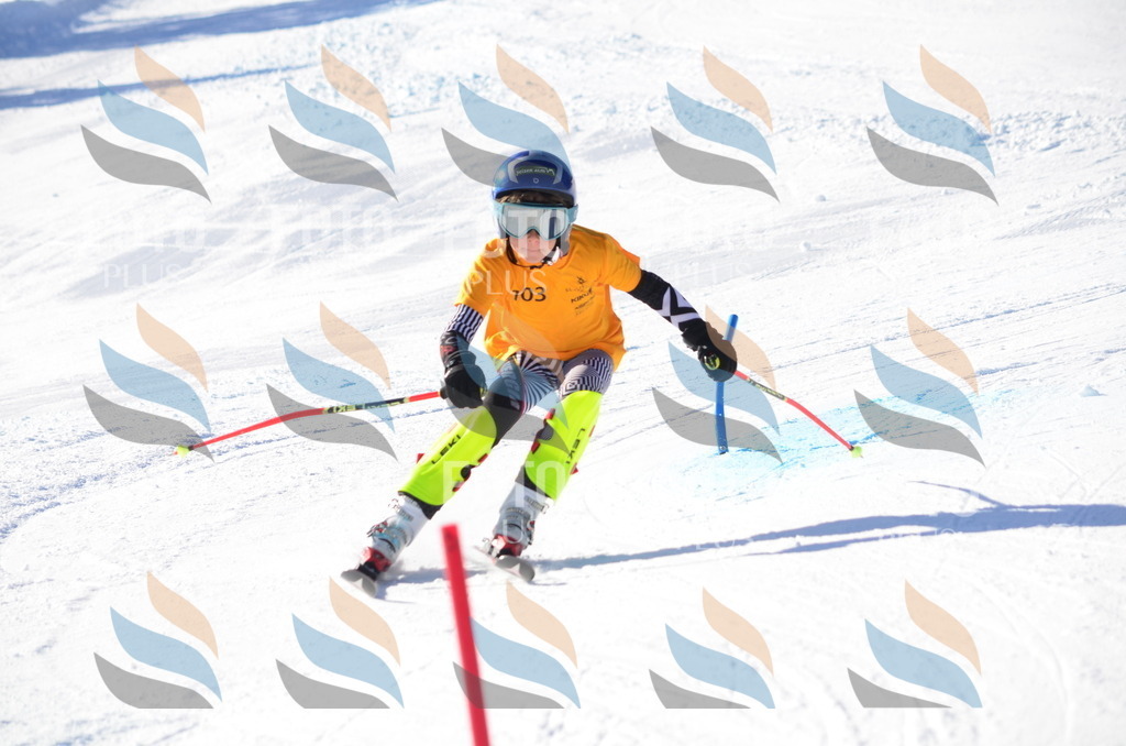 C6204 | holidayphoto