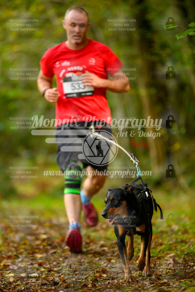 MompixPhotography_20TSB_E1_Run-40 | PayLife