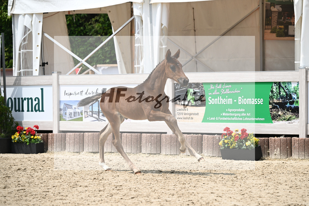 Vitalos x Lord Leopold_SF_Strohmeier_12250904 | hf-fotografie - Realisiert mit Pictrs.com