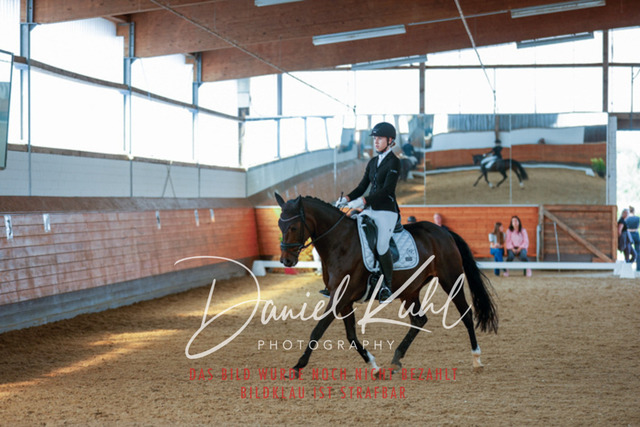 _62_7733 | Turniersportfotografie; Pferdefotografie; Dressurfotografie