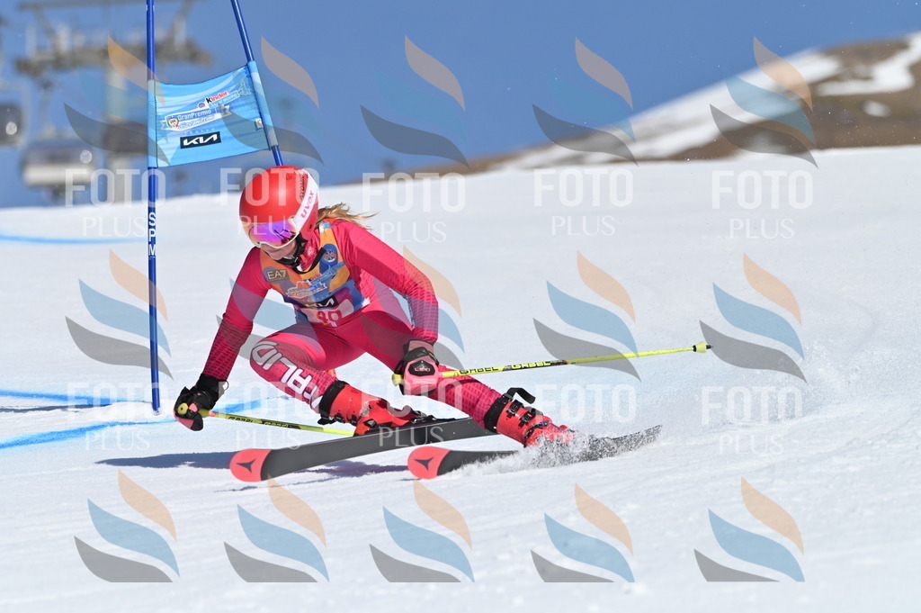 BGV_8357 | holidayphoto