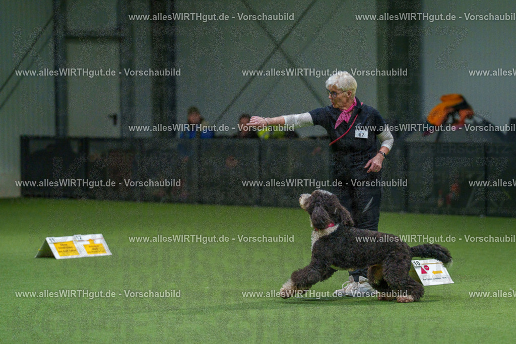 7R508069 | Professionelle Tierfotografie in Mönchengladbach von Daniel Wirth (allesWIRTHgut). Liebevolle & natürliche Bilder von Hunden & Katzen für unvergessliche Erinnerungen.