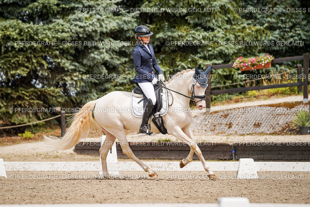 DSC04331 | Pferdegrafie