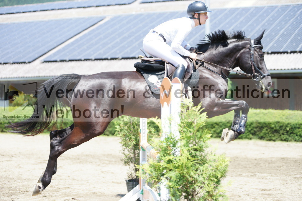 DSC06209 | equestrian-live-com